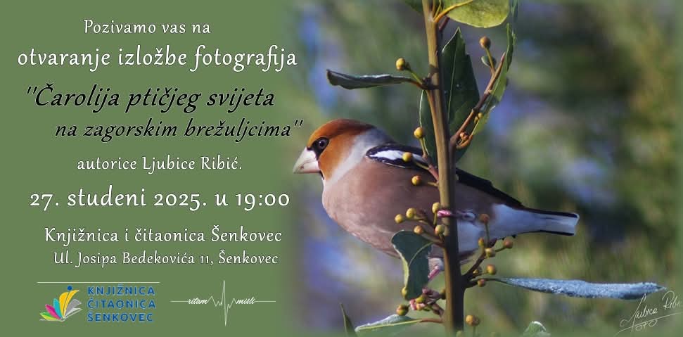 Izložba Ljubica Ribic